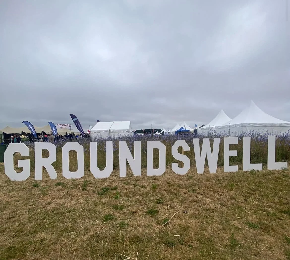 Groundswell 2025