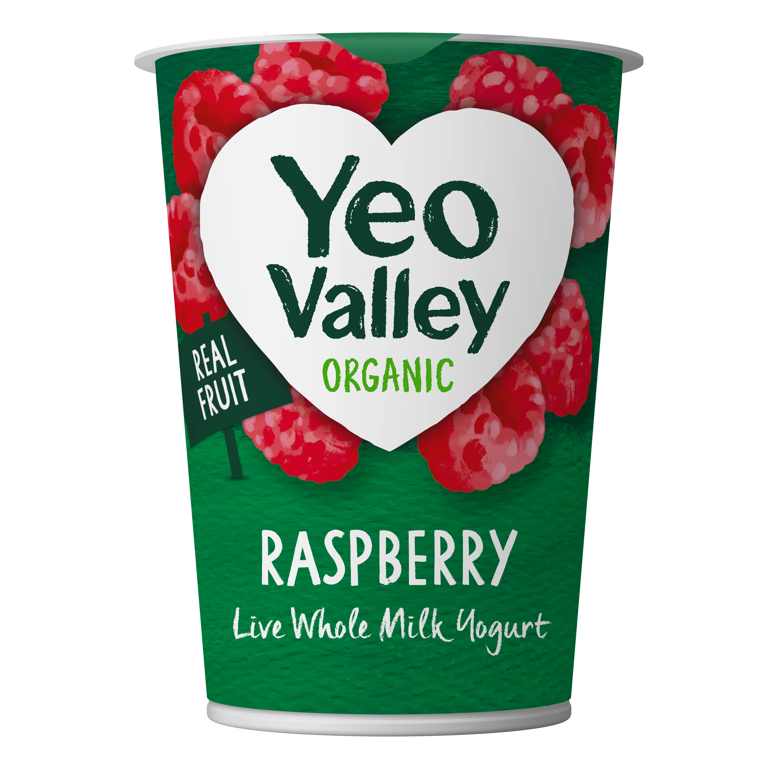 Raspberry Yogurt in 450g size