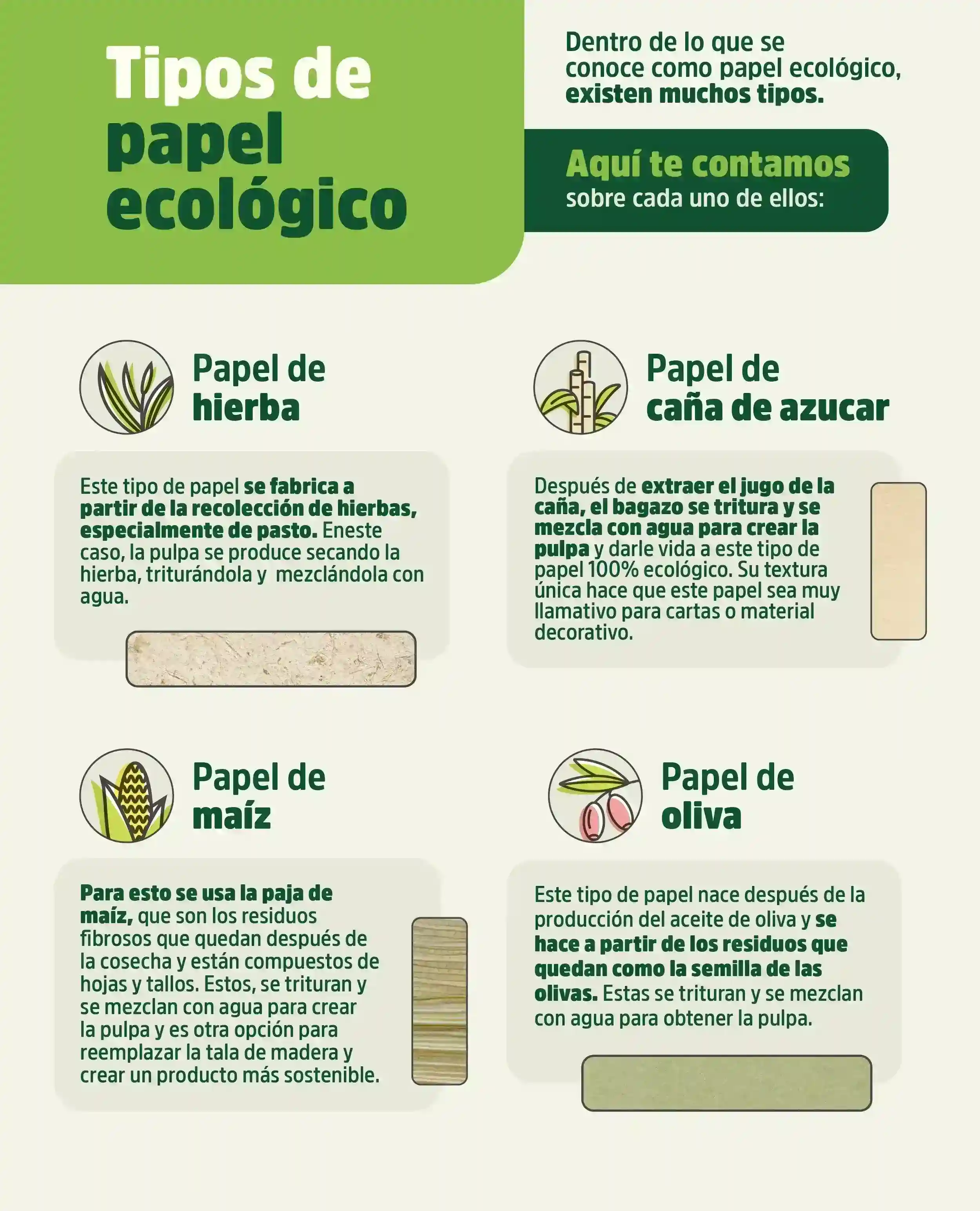 papel-ecologico-interna-3