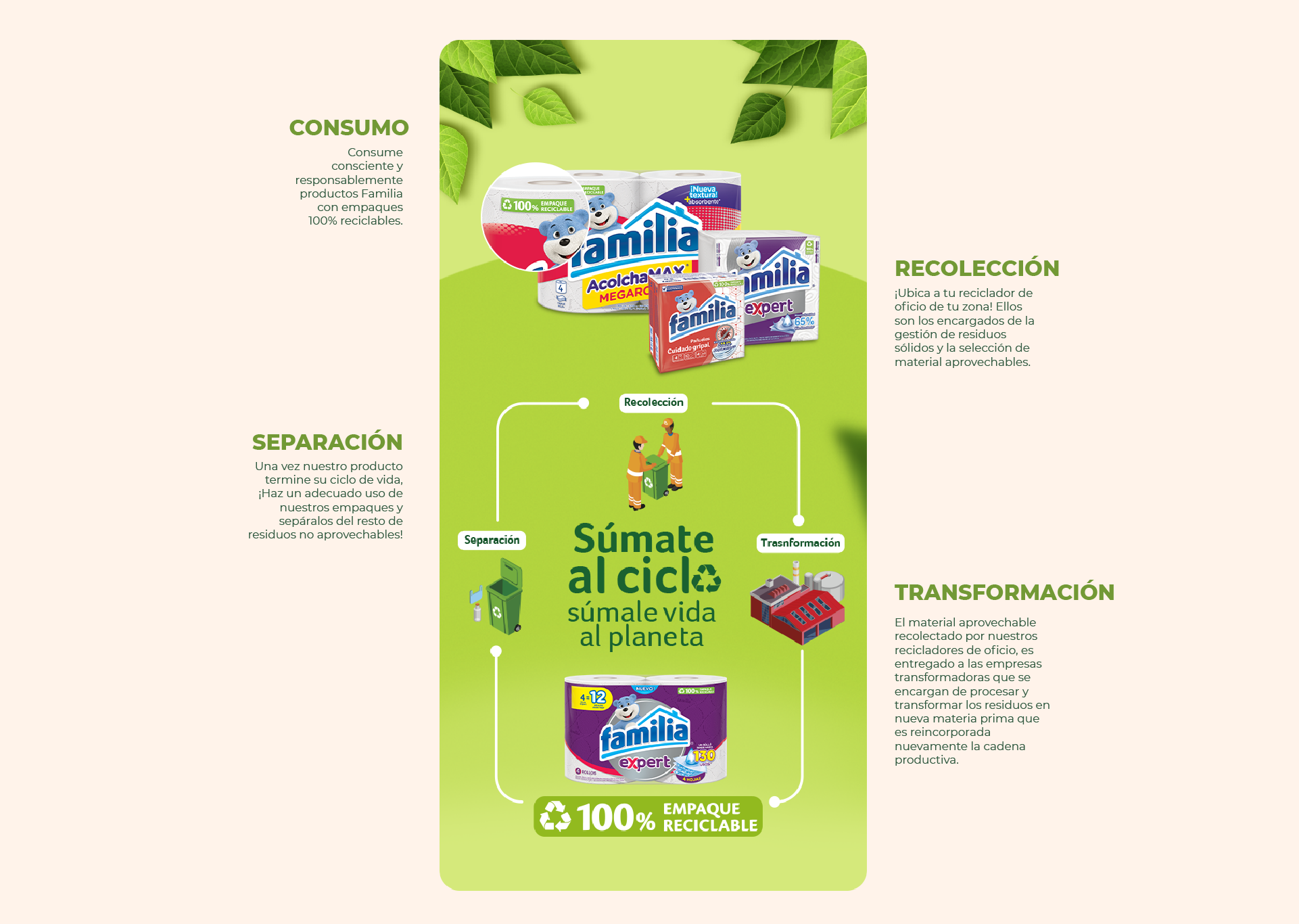 Ciclos de reciclaje Sostenibilidad Familia