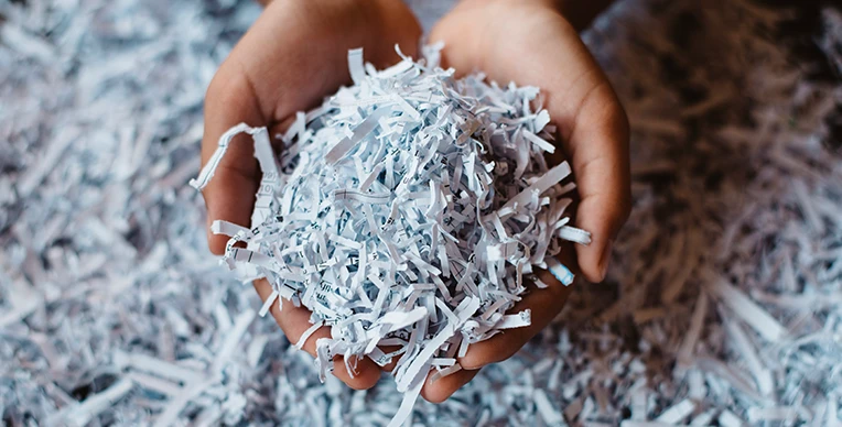 papel-ecologico-interna-1