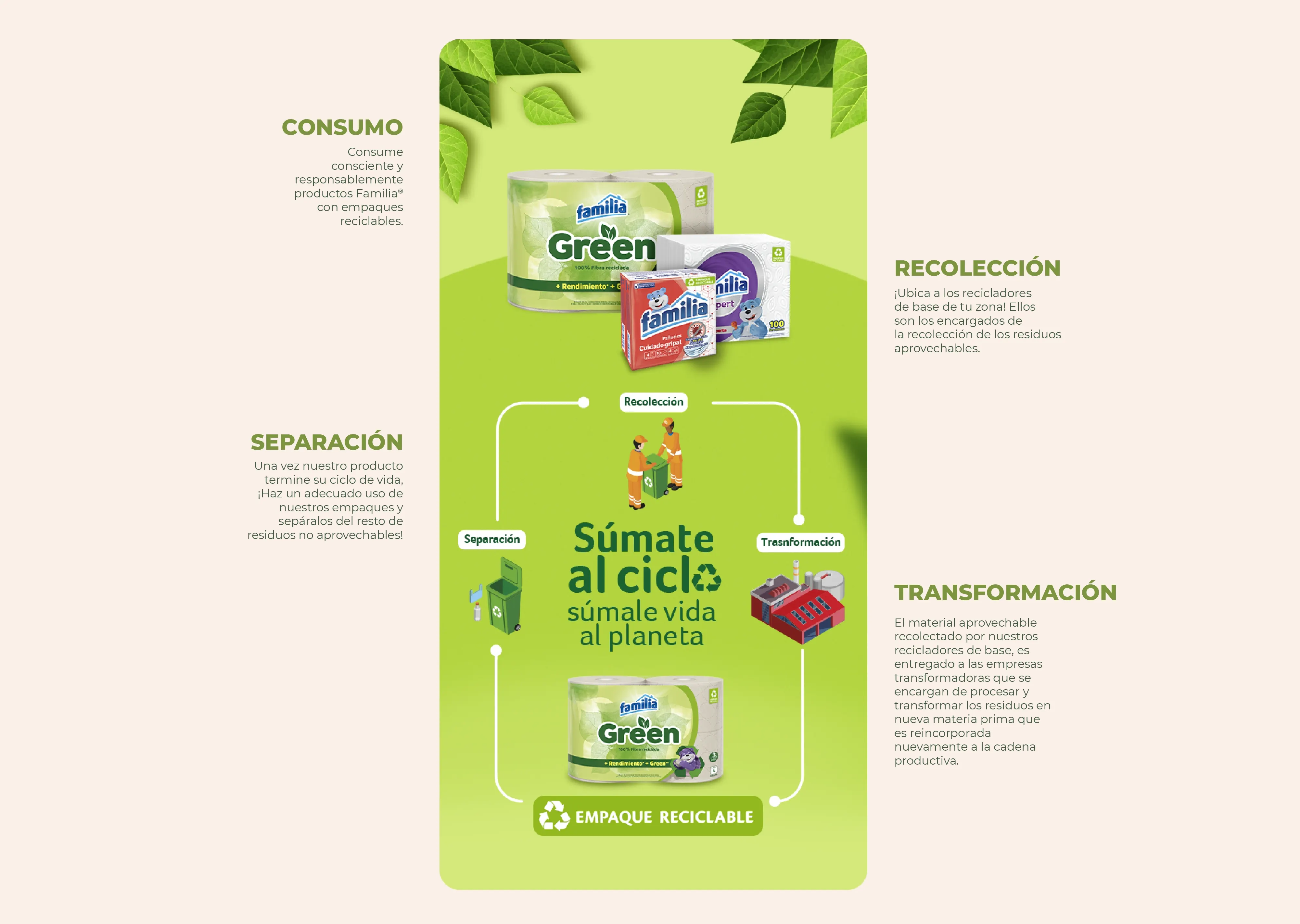 infografia