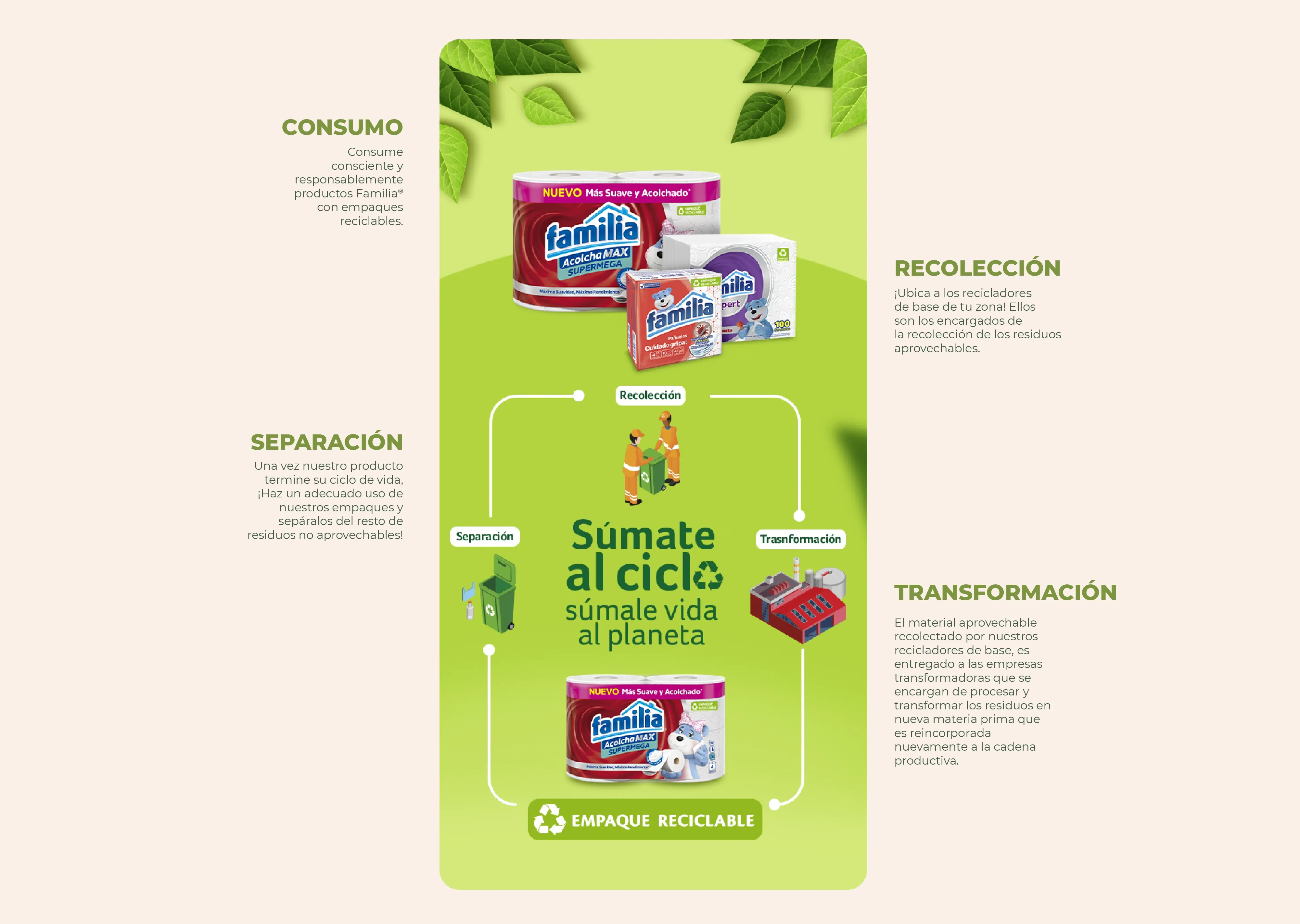 infografia