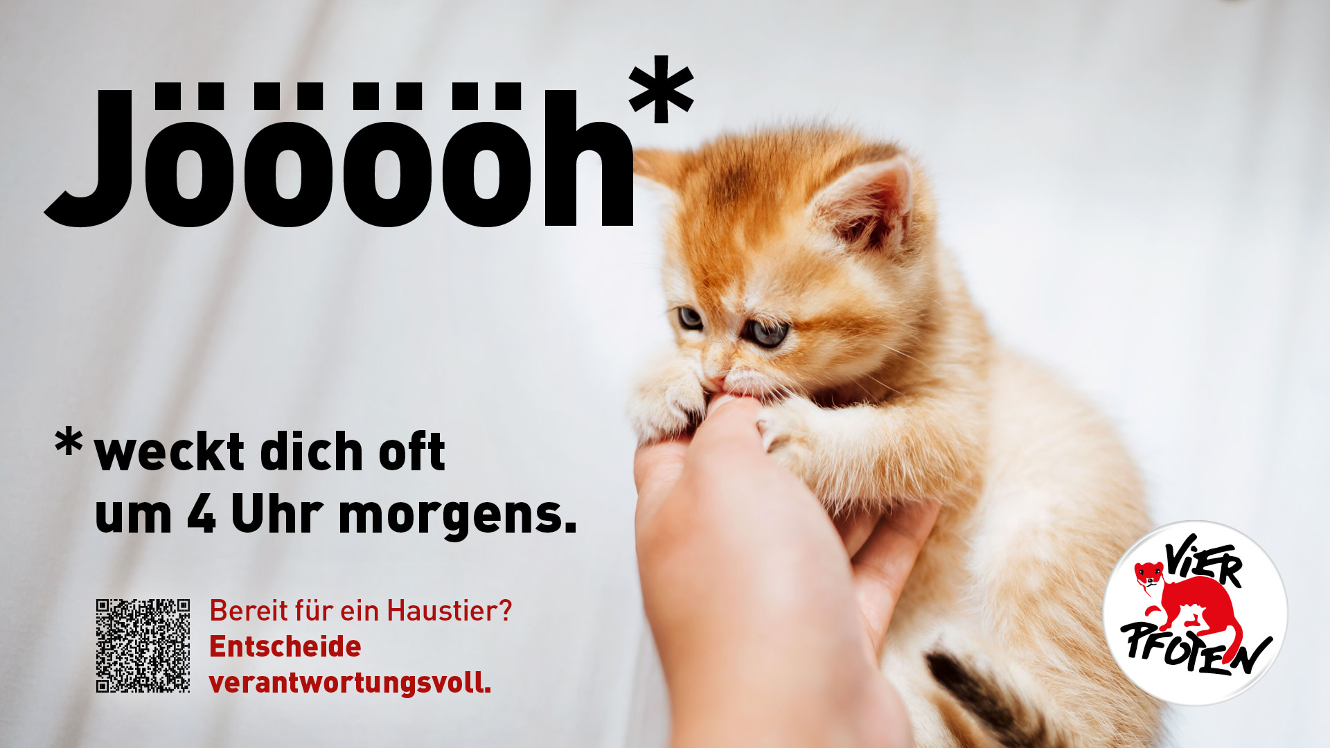 Scholz & Friends Zürich und VIER PFOTEN sensibilisieren für bewusste Haustierhaltung_Poster_Jöööh
