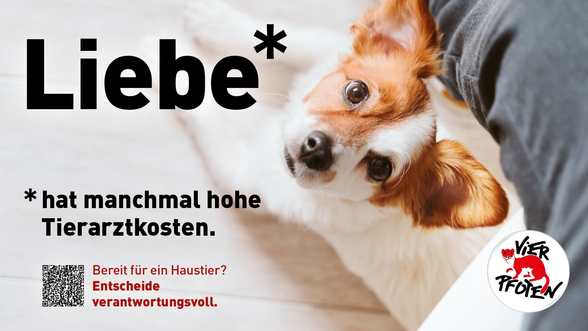 Scholz & Friends Zürich und VIER PFOTEN sensibilisieren für bewusste Haustierhaltung_Poster_Liebe