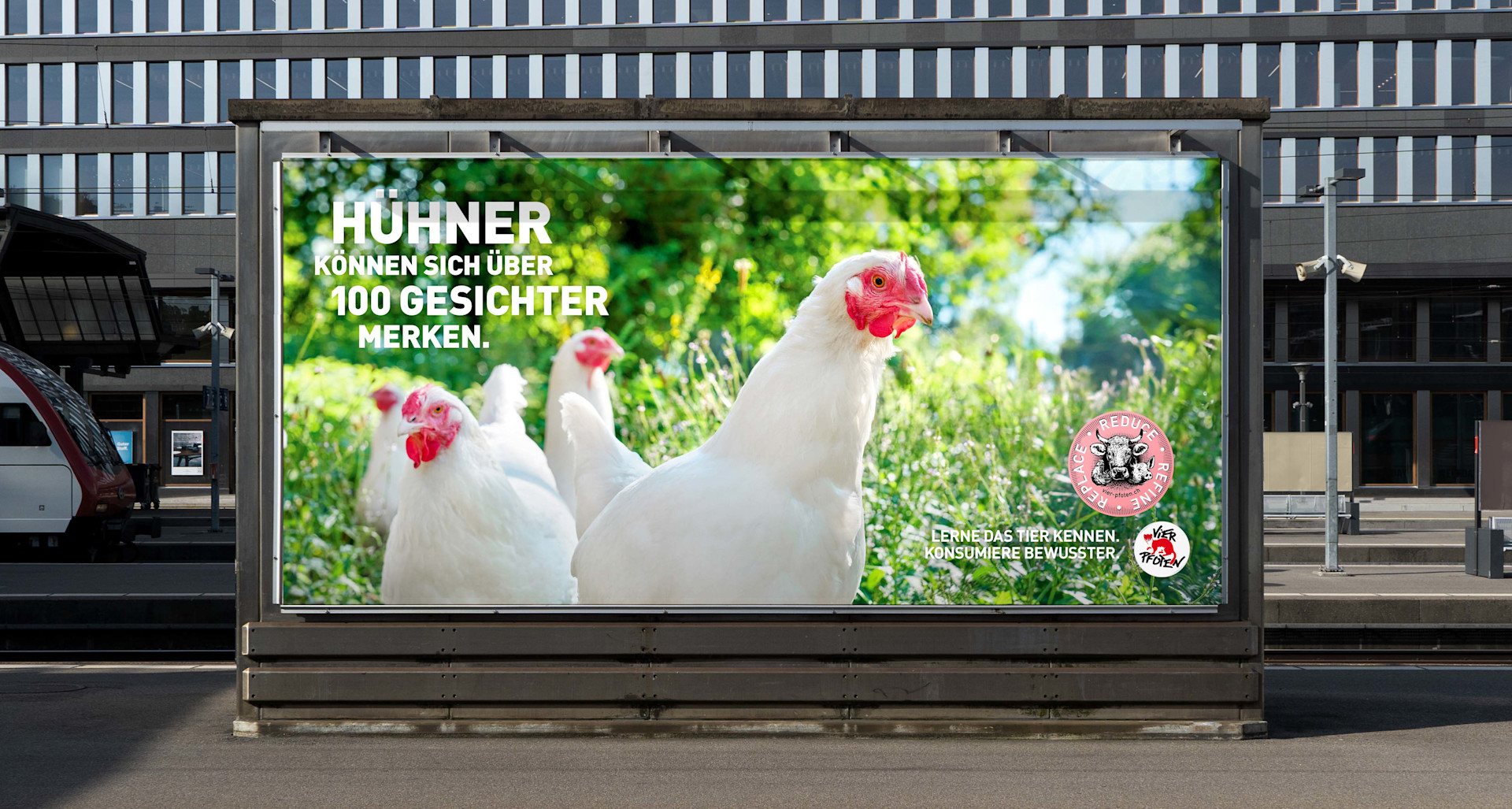 240902_Vier_Pfoten_Nutztiere_Pressemitteilung_Image_Huehner