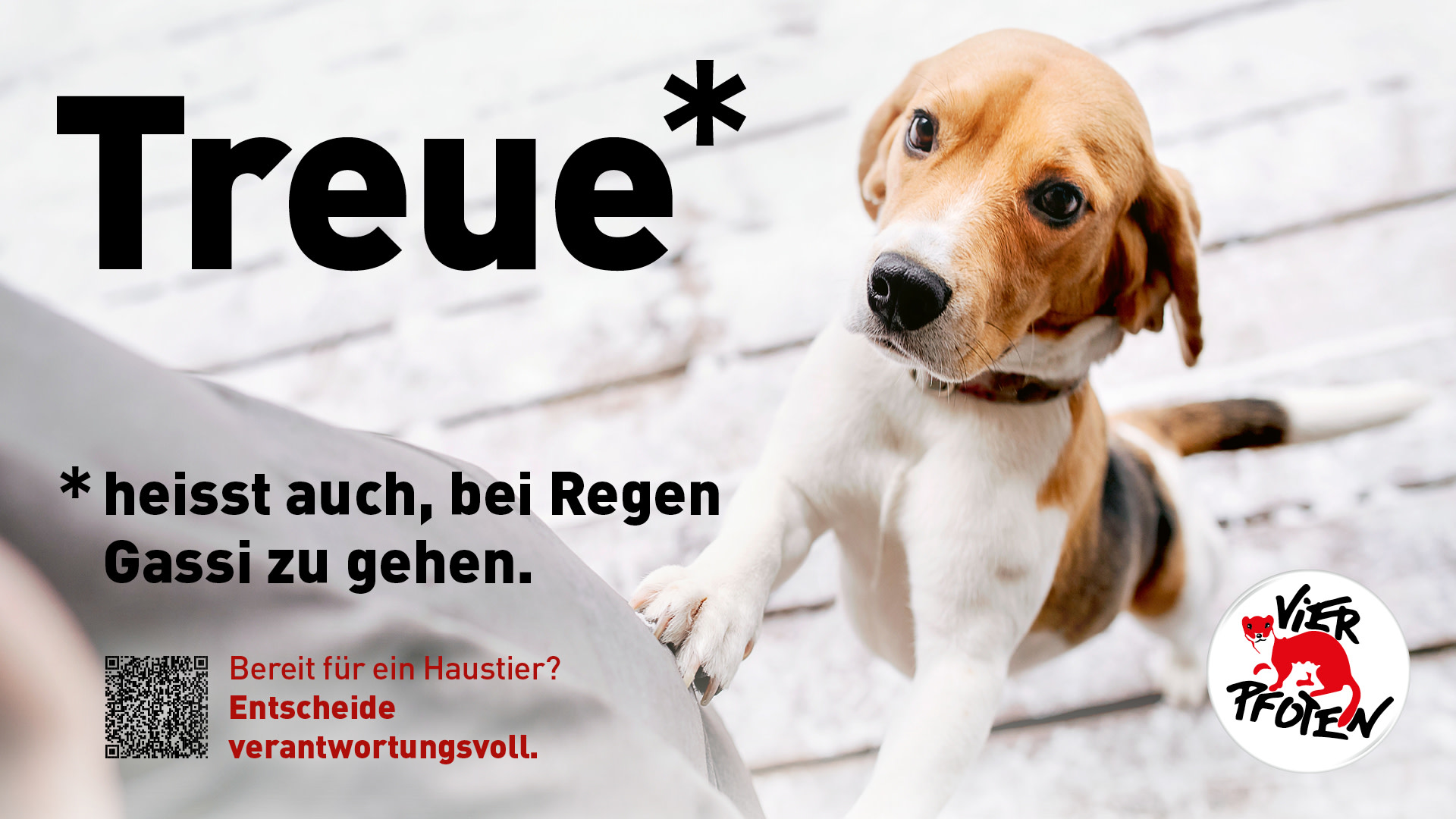 Scholz & Friends Zürich und VIER PFOTEN sensibilisieren für bewusste Haustierhaltung_Poster_Treue