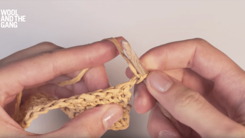 How to single crochet through the front loop with Ra-Ra Raffia - Step 3