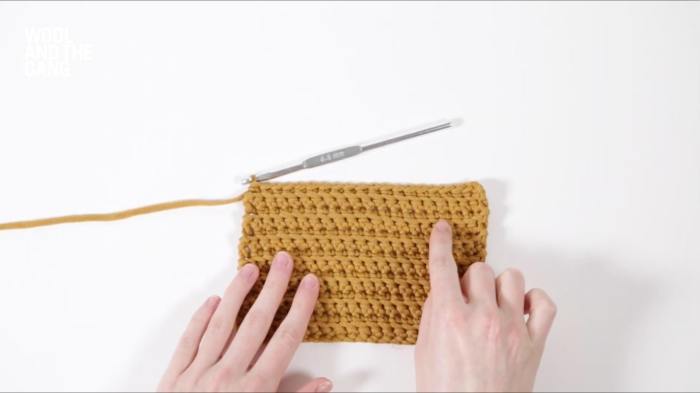 How To Crochet A Single Ridge Stitch - Step 1