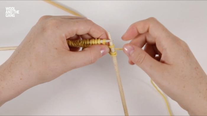 How To Knit Travelling Slip Stitch - Step 4