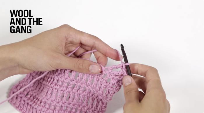 How To Crochet the Treble Crochet Increase - Step 5