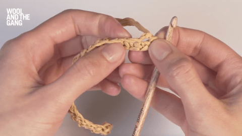 How to Crochet Both Sides Of The Foundation Chain - Step 4