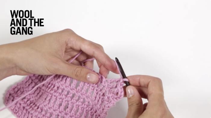 How To Crochet the Treble Crochet Increase - Step 6