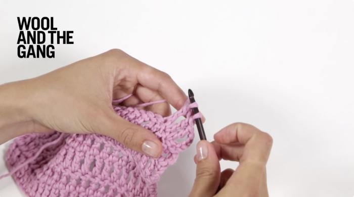 How To Crochet the Treble Crochet Increase - Step 4