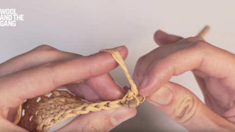 How to single crochet through the front loop with Ra-Ra Raffia - Step 4