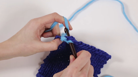 How to Crochet Crab Stitch - Step 4