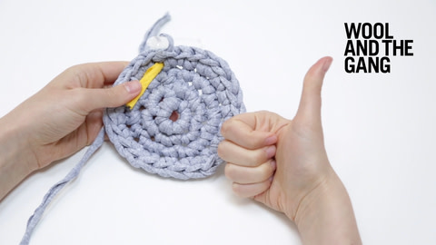 How To: Crochet A Flat Circle - Step 14