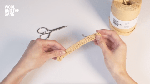 How to Crochet Both Sides Of The Foundation Chain - Step 1