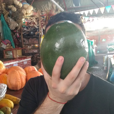 Avocado head