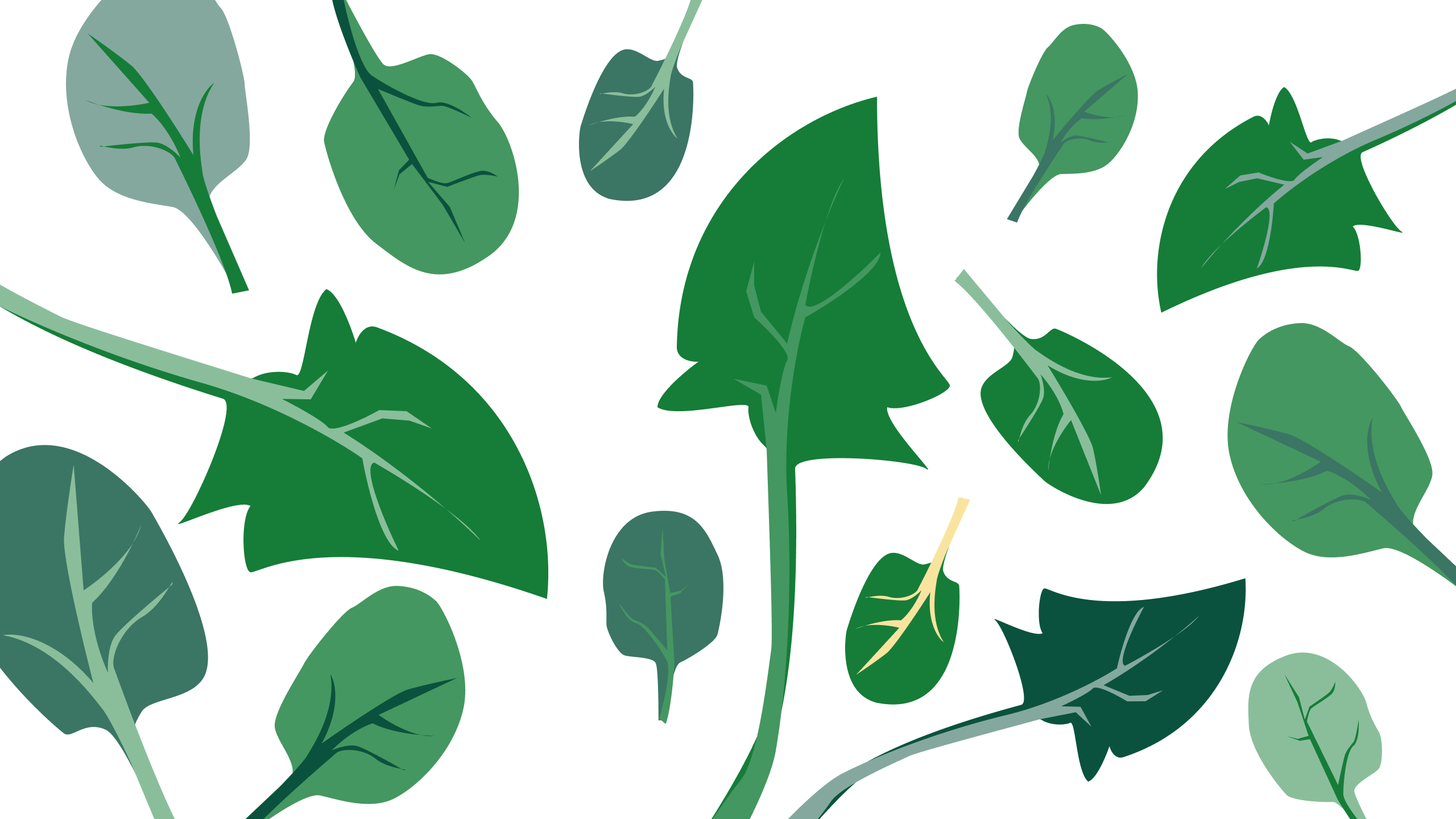 Spinach