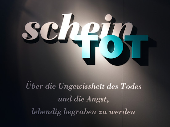 Blog Preview scheintot1