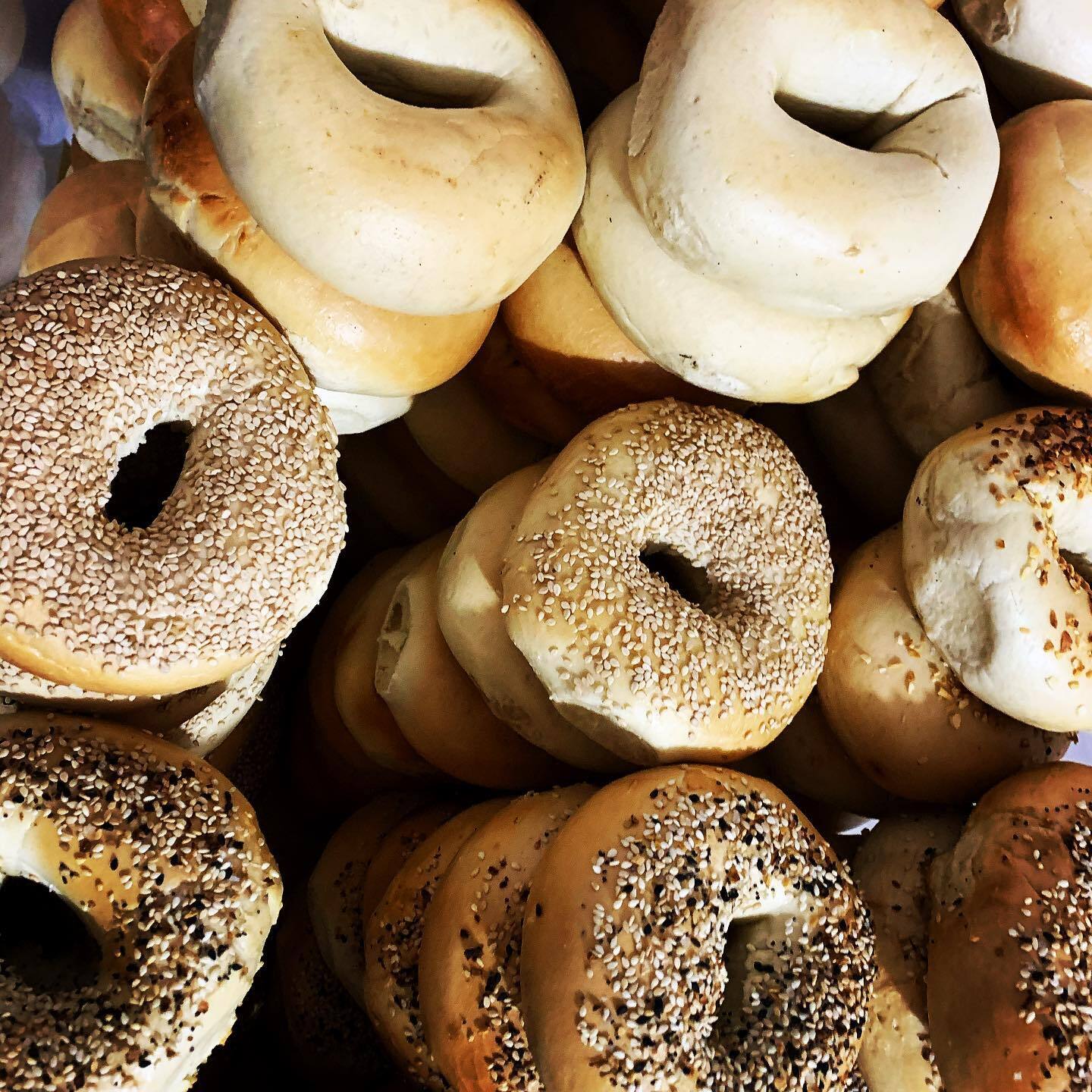Bagels.jpeg