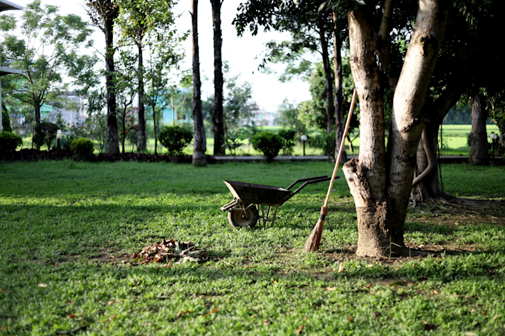 A wheelbarrow in a garden