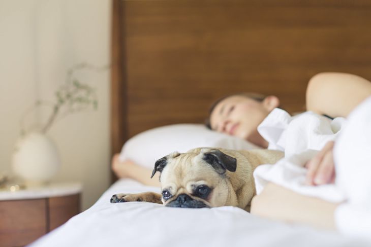 A woman sleeping in a bed with her dog