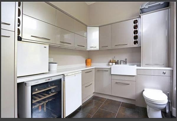 Toiled installed next to a kitchen sink