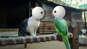 Eine Katze und ein Vogel, die beide anstelle von Köpfen zwei riesige Augäpfel haben, sitzen sich gegenüber und blicken sich an.