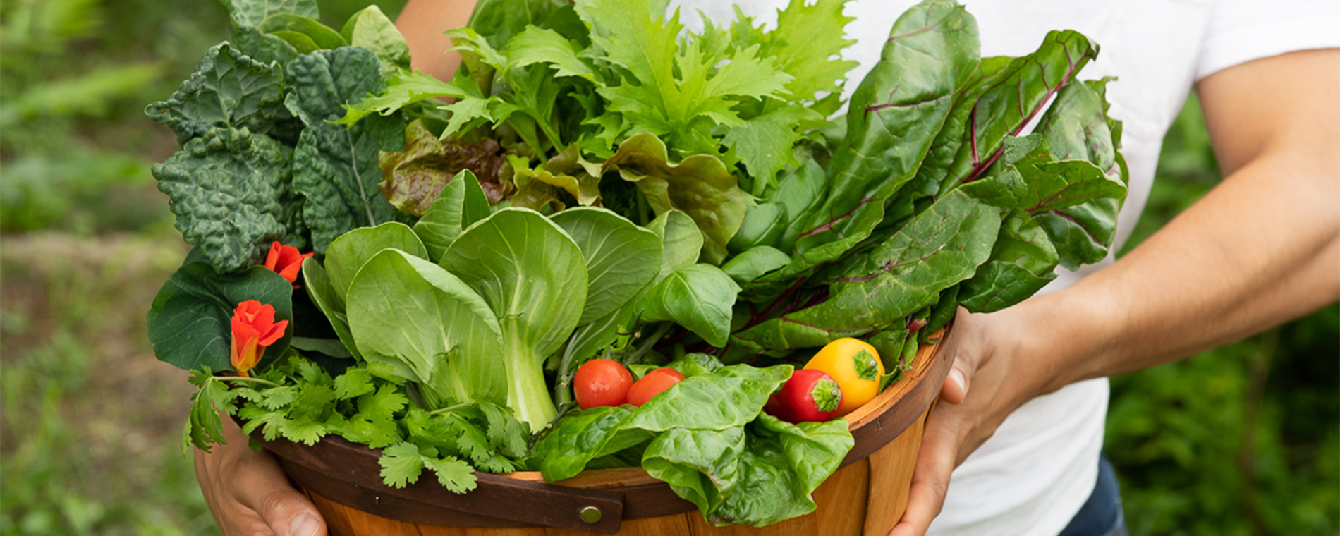 make-a-salad-Hero-Image