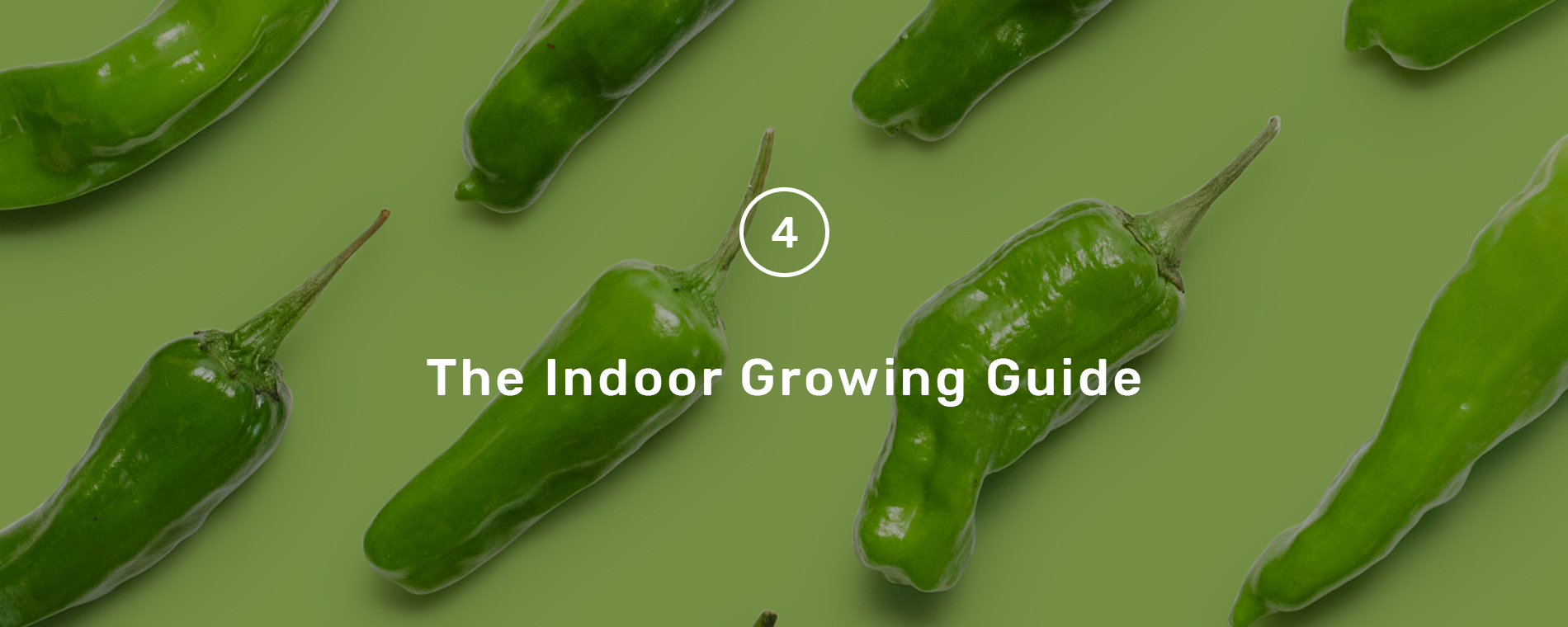 indoor_grow_guide_hero