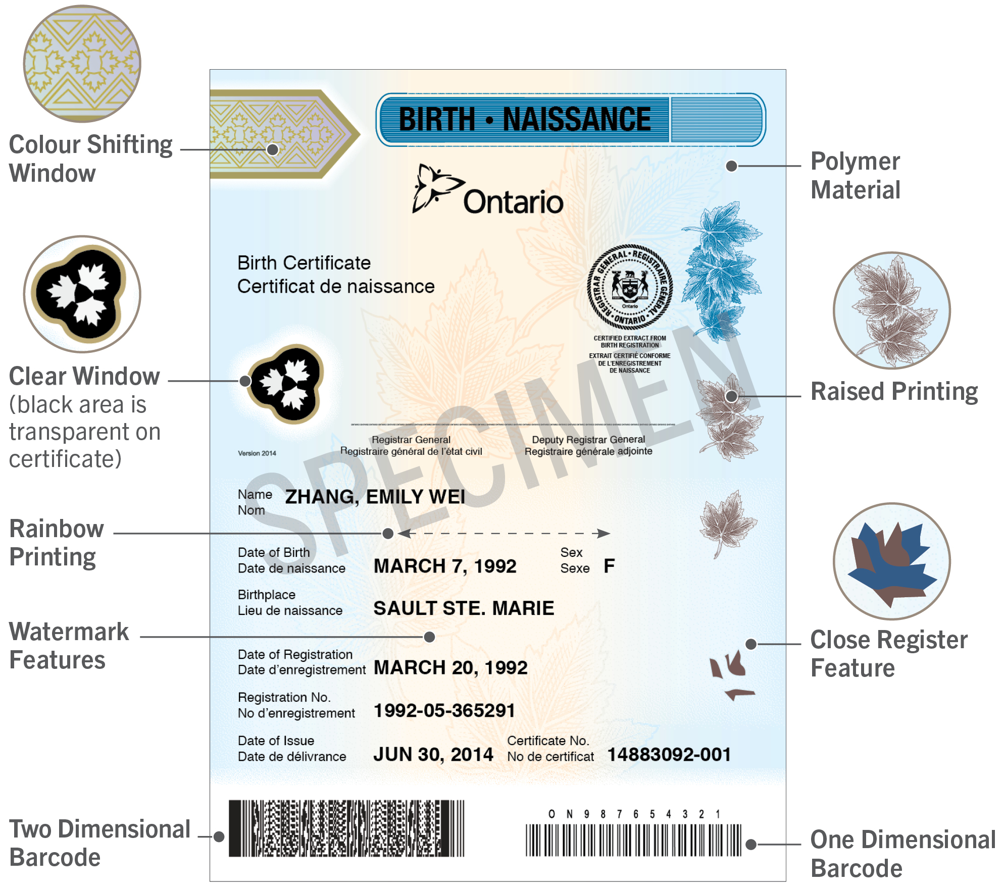 birth certificate