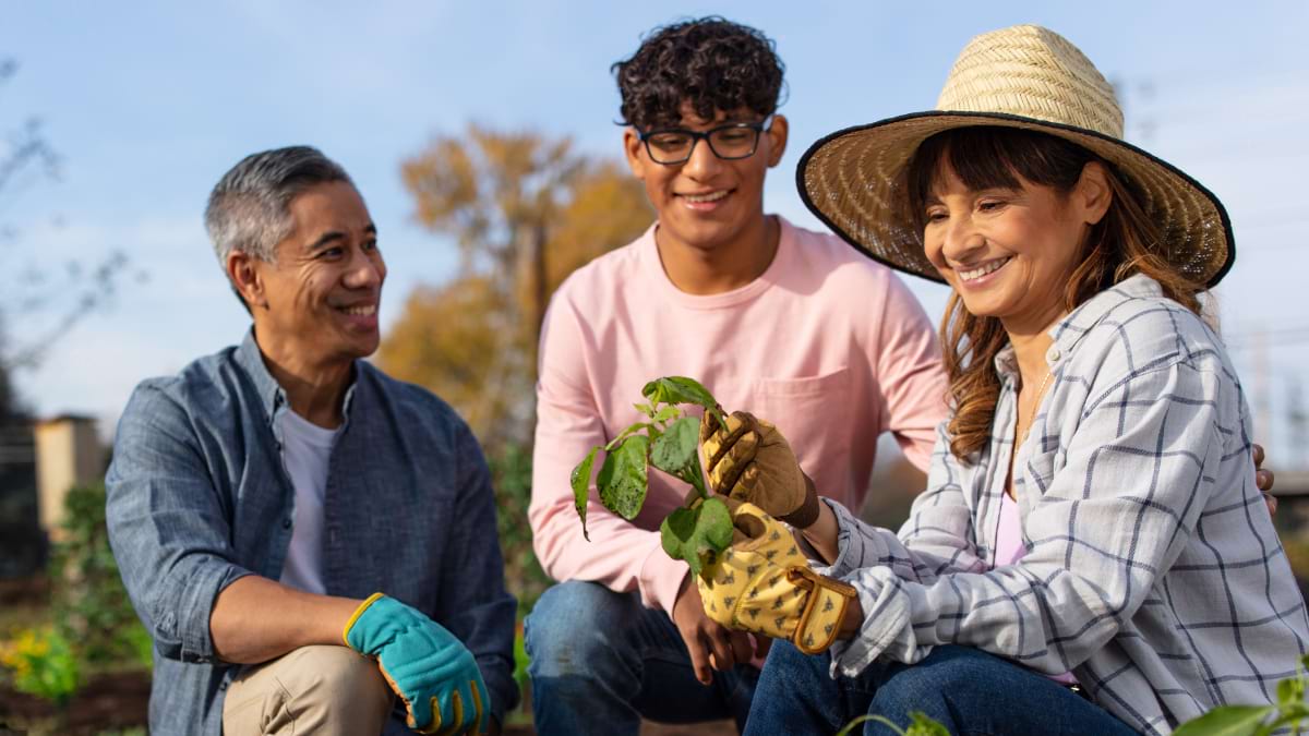 Three people crouching down in a garden and looking at a plant that has been harvested. They are all smiling. 