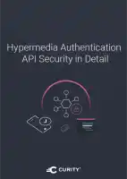 Hypermedia Authentication API Security in Detail