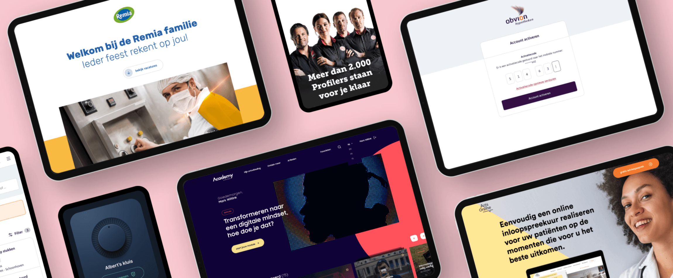 Een paar voorbeelden van maatwerk projecten, waaronder Remia, Profile, Obvion, ArtsOnline, DPG, ...