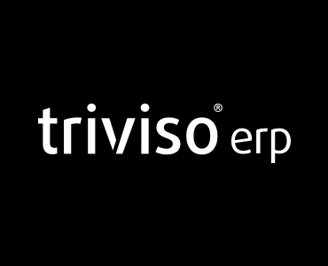 Triviso ERP partner image