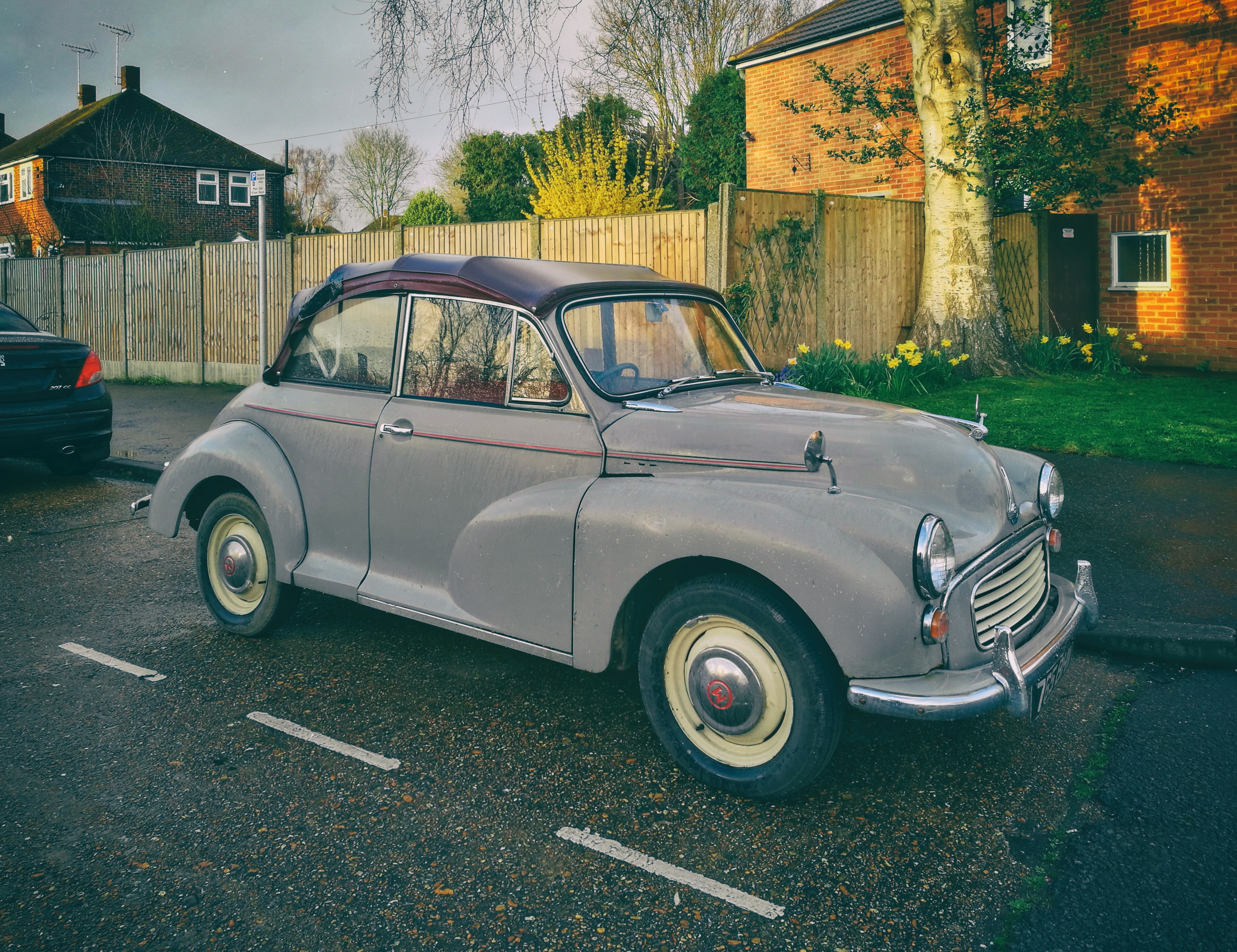 Morris