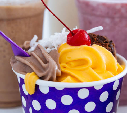 BestDessertsPhilly JustCravings froyo article