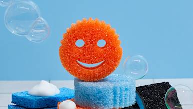 CxBlog-DD-Sponges-LEAD