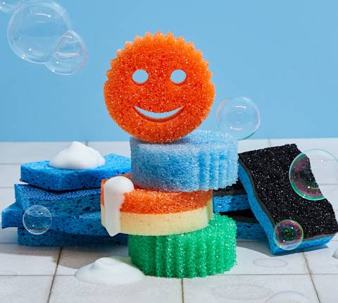 CxBlog-DD-Sponges-LEAD