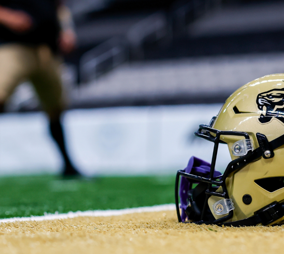 DDfB - Bay Area Panthers - Header