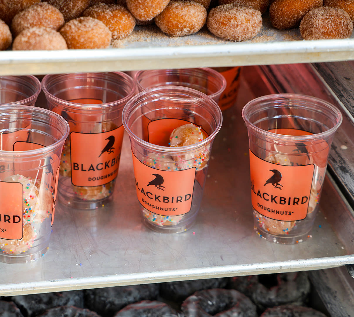 CxBlog-DD-Blackbird-LEAD