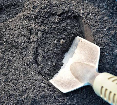 biochar