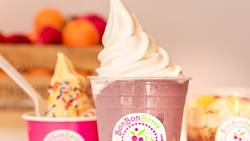 Frozen yogurt and acai bowls