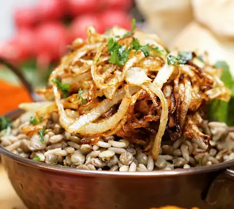 BestRestaurantsDetroit AlAmeer mujadara article