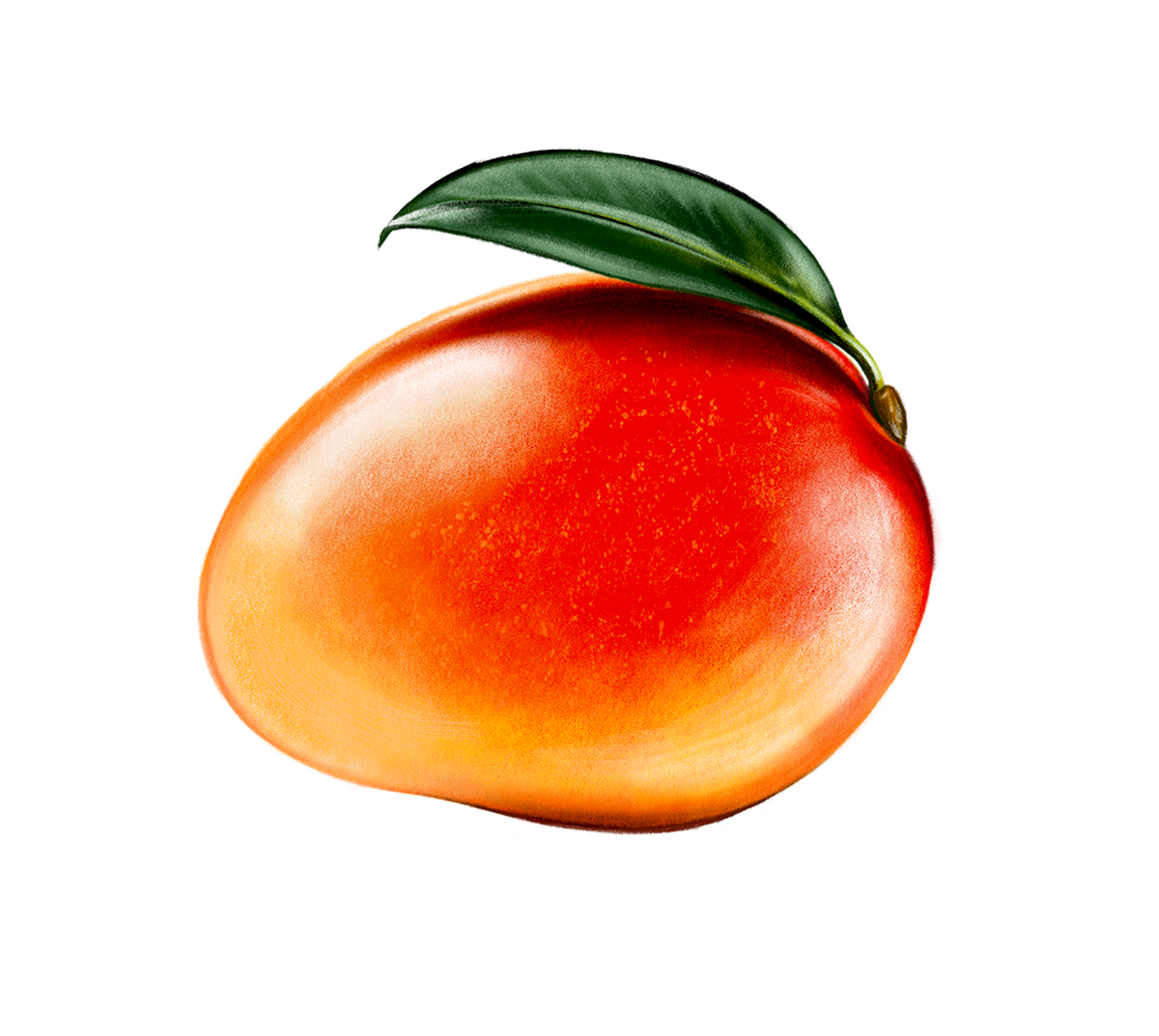 Mx Blog - Well-Grounded - Mango