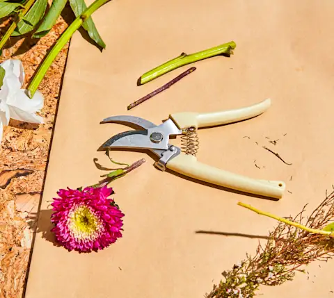 CxBlog-DD-MomDay-Flowers-Shears
