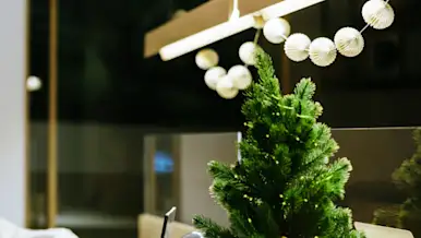 Small tree placed next to a computer