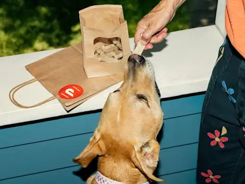 Mx - Pet Stores - Value Props - Convenience for customers